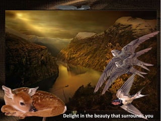 Delight in the beauty that surrounds you