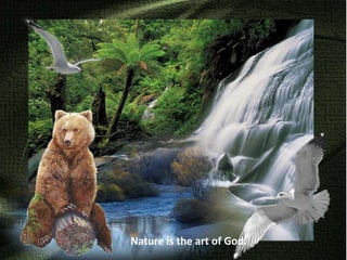 Nature is the art of God.