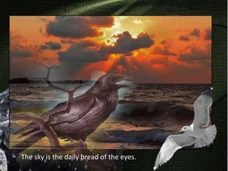 The sky is the daily bread of the eyes.