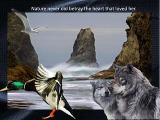 Nature never did betray the heart that loved her.