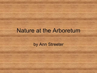 Nature at the Arboretum by Ann Streeter 