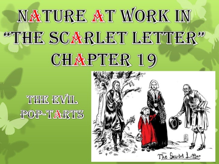 nature at work in the scarlet letter chapter 19 scarlet letter
