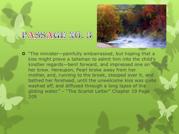 nature at work in the scarlet letter chapter 19 scarlet letter