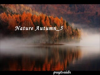 Nature Autumn_5
puytsaidr
 