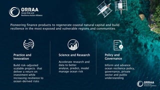 Science and Research
Accelerate research and
data to better
analyse, predict, model
manage ocean risk
Practice and
Innovation
Build risk-adjusted
scalable projects that
deliver a return on
investment while
increasing resilience to
ocean-derived risks
Policy and
Governance
Inform and advance
ocean resilience policy,
governance, private
sector and public
understanding
Pioneering finance products to regenerate coastal natural capital and build
resilience in the most exposed and vulnerable regions and communities
 