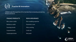ORRAA uses the expertise of its membership to develop pioneering
finance products
Blue carbon credits
Resilience credits
Sovereign bonds
Corporate bonds
Catastrophe bonds
Risk modelling expertise
Parametric cover
Policy wording
Credit risk
Risk pools
RISK & INSURANCEFINANCE PRODUCTS
Practice & Innovation
 