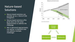 Nature-based
Solutions
 Nature-based solutions can
provide up to a third of CO2
mitigation.
 Nature-based solutions offe...