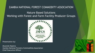 ZAMBIA NATIONAL FOREST COMMODITY ASSOCIATION
Nature Based Solutions
Working with Forest and Farm Facility Producer Groups
...