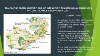 TRANSLATING GLOBAL AMBITIONS FOR NbS INTO ACTIONS TO ADDRESS DUAL CHALLENGES
OF CLIMATE CHANGE & BIODIVERSITY LOSS.
ZAMBIA...