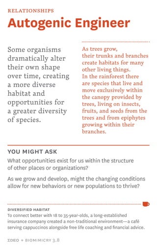 Autogenic Engineer NATURE CARDS - IDEO | PDF