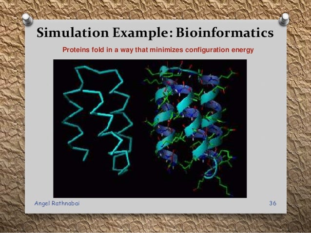 Nature Vs Nurture Simulation Nature Vs Nurture Simulation