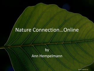 Nature Connection…Online

by
Ann Hempelmann

Source: pdphoto.org

 