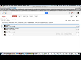 Nature connection s s