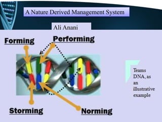 A Nature Derived Management System
Ali Anani
 