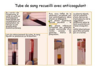 Au sortir de
l’organisme, le
sang recueilli sur
anticoagulant
reste liquide (par
complexation ou
précipitation du
calcium ou par
amplification
d’antithrombines)
Lors du retournement du tube, le sang
liquide se positionne sur le bouchon.
Puis, sous l’effet de la
pesanteur (accélérée par
une centrifugation), deux
phases se dégagent :
une phase supérieure
liquide jaunâtre : le
PLASMA
une phase inférieure
composée des globules
rouges surmontée d’un
mince anneau de
globules blancs et
plaquettes.
Le plasma séparé,
mis en présence
d’ions calcium et
d'activateur(s) de la
coagulation
(différents selon le
test) va prendre en
masse (coaguler) :
le
caillot plasmatique
peut être entrainé
par un crochet.
Tube de sang recueilli avec anticoagulant
 
