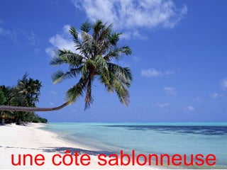 une côte sablonneuse
 