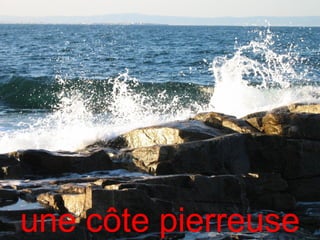 une côte pierreuse
 