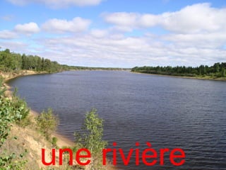 une rivière
 