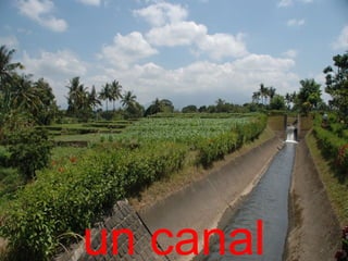 un canal
 