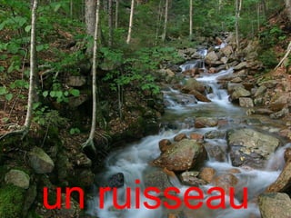 un ruisseau
 