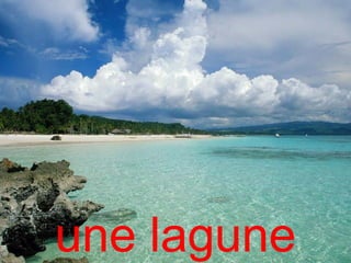 une lagune
 