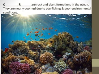 C________ R______ are rock and plant formations in the ocean.
They are nearly doomed due to overfishing & poor environmental
conditions.
 