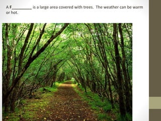 A F_________ is a large area covered with trees. The weather can be warm
or hot.
 