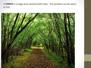 A FOREST is a large area covered with trees. The weather can be warm
or hot.
 