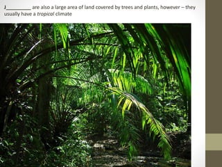 J_________ are also a large area of land covered by trees and plants, however – they
usually have a tropical climate
 