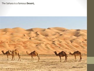 The Sahara is a famous Desert,
 