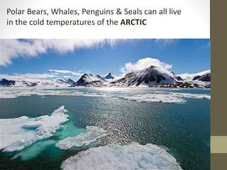 Polar Bears, Whales, Penguins & Seals can all live
in the cold temperatures of the ARCTIC
 