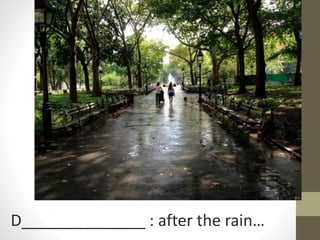 D______________ : after the rain…
 