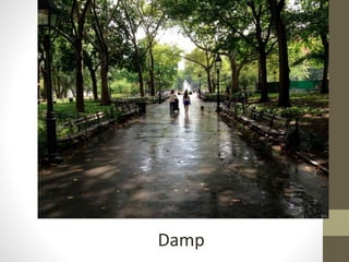 Damp
 