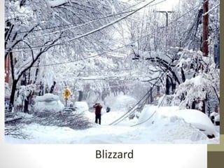 Blizzard
 