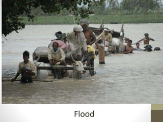Flood
 