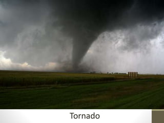 Tornado
 