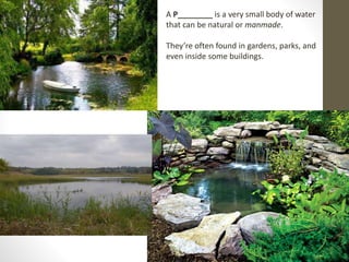 A P________ is a very small body of water
that can be natural or manmade.
They’re often found in gardens, parks, and
even inside some buildings.
 