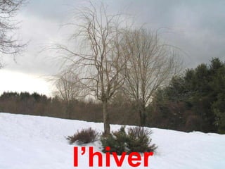 l’hiver
 