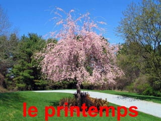 le printemps