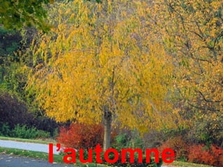 l’automne
 