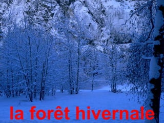 la forêt hivernale
 