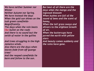 We have neither Summer nor
Winter
Neither Autumn nor Spring.
We have instead the days
When the gold sun shines on the
lush green canefields-
Magnificently.
The days when the rain beats
like bullet on the roofs
And there is no sound but the
swish of water in the gullies
And trees struggling in the high
Jamaica winds.
Also there are the days when
leaves fade from off guango
trees’
And the reaped canefields lie
bare and fallow to the sun.
But best of all there are the
days when the mango and the
logwood blossom
When bushes are full of the
sound of bees and the scent of
honey,
When the tall grass sways and
shivers to the slightest breath
of air,
When the buttercups have
paved the earth with yellow
stars
And beauty comes suddenly and
the rains have gone.
 