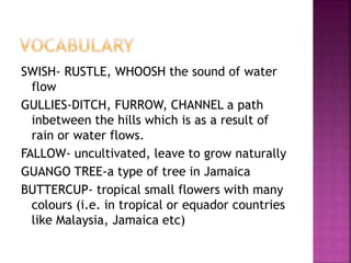 SWISH- RUSTLE, WHOOSH the sound of water
flow
GULLIES-DITCH, FURROW, CHANNEL a path
inbetween the hills which is as a result of
rain or water flows.
FALLOW- uncultivated, leave to grow naturally
GUANGO TREE-a type of tree in Jamaica
BUTTERCUP- tropical small flowers with many
colours (i.e. in tropical or equador countries
like Malaysia, Jamaica etc)
 