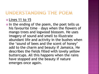  Lines 11 to 15
 In the ending of the poem, the poet tells us
his favourite time – days when the flowers of
mango trees and logwood blossom. He uses
imagery of sound and smell to illustrate
abundant life and activity in the bushes when
the ‘sound of bees and the scent of honey’
add to the charm and beauty if Jamaica. He
describes the fields filled with lovely yellow
buttercups. All this happens when the rains
have stopped and the beauty if nature
emerges once again.
 