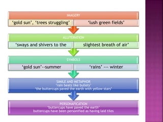 PERSONAFICATION
‘buttercups have paved the earth’
buttercups have been personified as having laid tiles
SIMILE AND METAPHOR
‘rain beats like bullets’
‘the buttercups paved the earth with yellow stars’
SYMBOLS
‘gold sun’--summer ‘rains’ --- winter
ALLITERATION
‘sways and shivers to the slightest breath of air’
IMAGERY
‘gold sun’, ‘trees struggling’ ‘lush green fields’
 