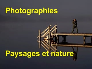 Photographies  Paysages et nature 
