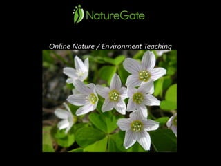 Naturegate presentation 30052011