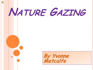 NATURE GAZING


      By Yvonne
      Metcalfe
 
