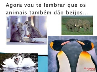 Agora vou te lembrar que os animais também dão beijos… 