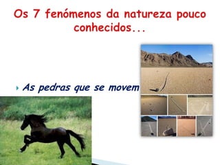 As pedras que se movemOs 7 fenómenos da natureza pouco conhecidos...‏